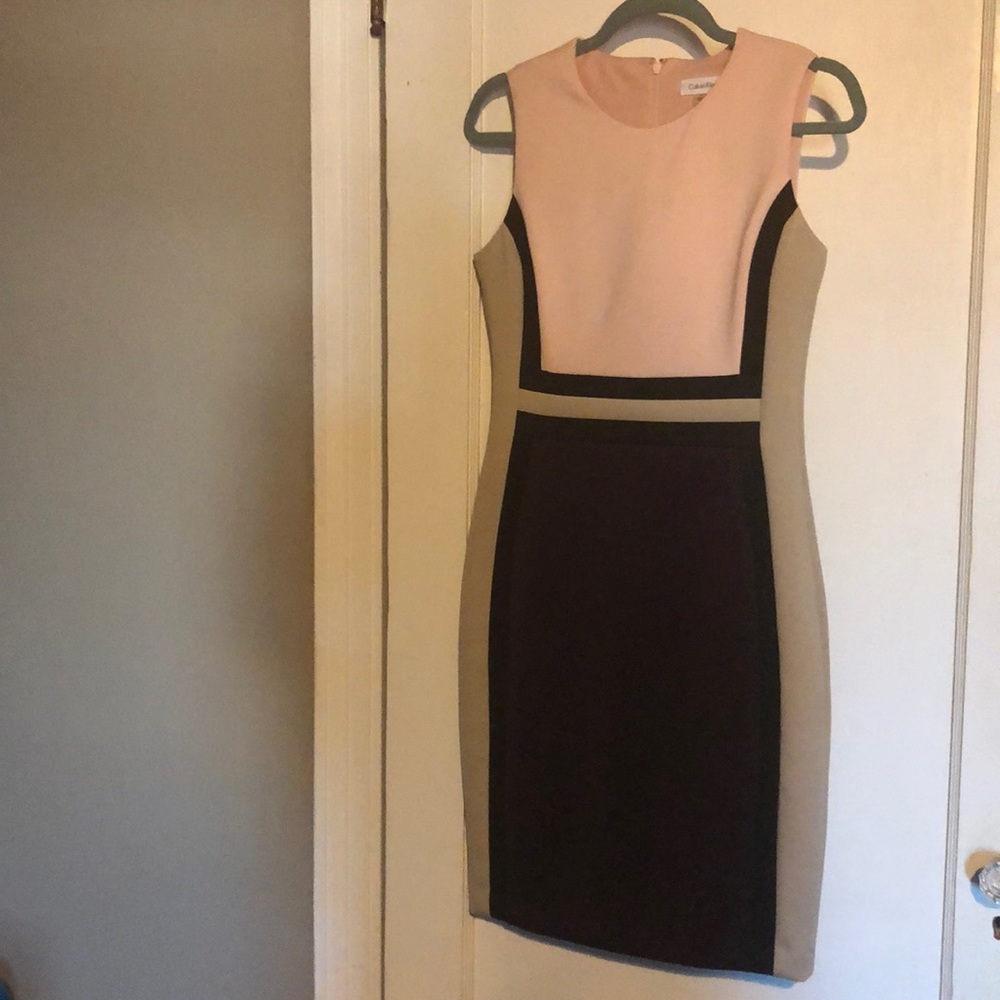 Calvin Klein Block Colored Dress (worn once)